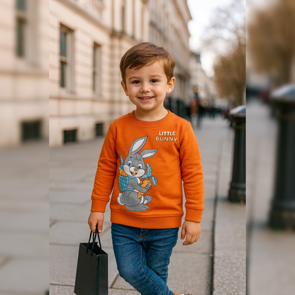 PACK OF 3 PICS LOOPKNIT FULL SLEEVEES  BASIC 6-24 MTHS image 0